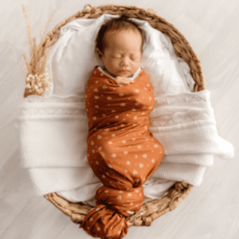 Mod & Tod Stretchy Swaddle