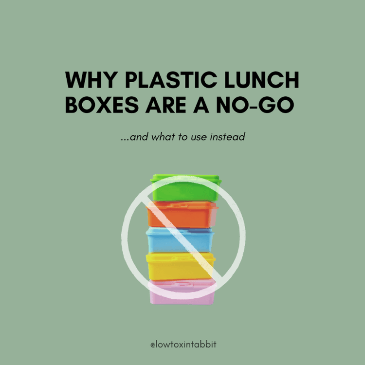 Healthy Alternatives to Plastic Lunchboxes: Why They're a No Go & What to Use Instead
